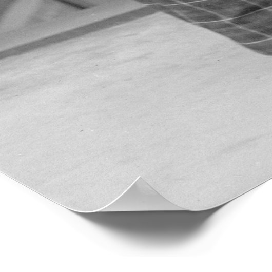 Poster Suffragettes germées : 1914 (Coin)