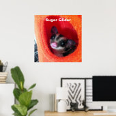 Poster Sugar Glider dans un lit orange suspendu (Bureau à domicile)
