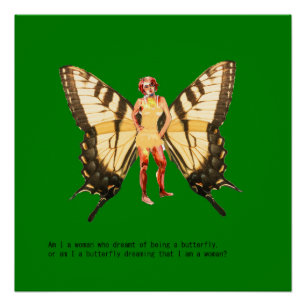 Poster Suis-je une femme qui rêvait d'être un papillon ?