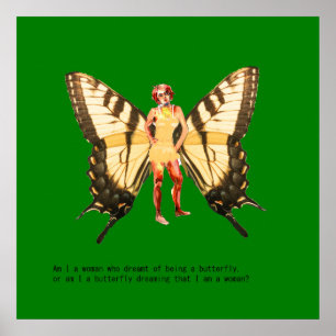Poster Suis-je une femme qui rêvait d'être un papillon ?