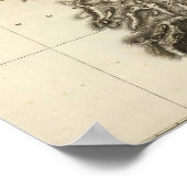 Poster Suisse 13 (Coin)