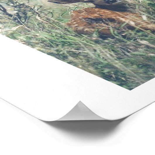 Poster Suivez-Moi. (Coin)