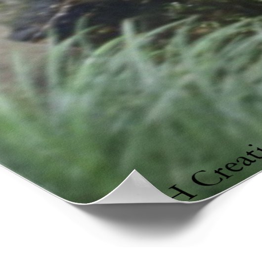 Poster Suivez-moi (Coin)