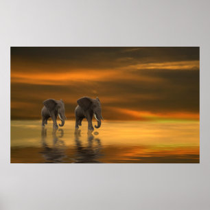 Poster Suivez-moi l'affiche deux