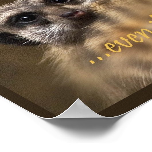 Poster Suivez Vos Rêves ! (Coin)