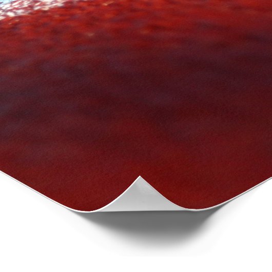 Poster Suivi et champ (Coin)