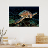 Poster Sulawesi | Tortue marine verte (Cuisine)