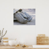 Poster Sulcata Tortoise (Cuisine)