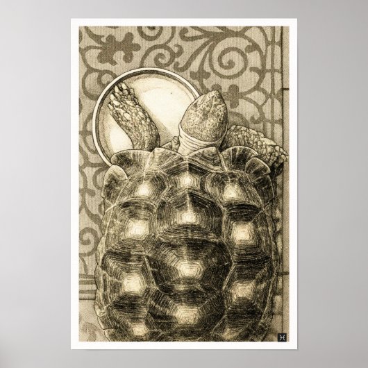 Poster Sulcata Tortoise Art Nouveau Ink Sepia drawing (Devant)