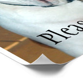 Poster "Sullivan", le Bulldog/Poster anglais (Coin)