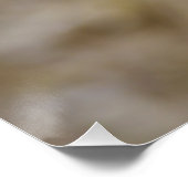 Poster Sulmtaler Hen (Coin)