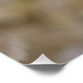 Poster Sulmtaler Hen (Coin)