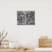 Poster Sultan Ahmed III Distribuer de l'argent (Cuisine)