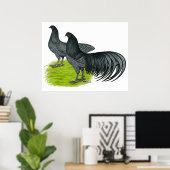 Poster Sumatra : Paire bleue (Bureau à domicile)