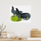 Poster Sumatra : Paire bleue (Cuisine)