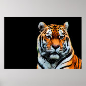 Poster Sumatran Borneo Tiger (Devant)