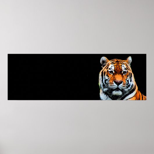 Poster Sumatran Tiger (Devant)
