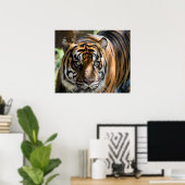 Poster Sumatran Tiger (Bureau à domicile)