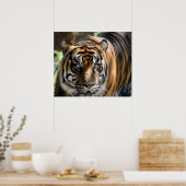 Poster Sumatran Tiger (Cuisine)