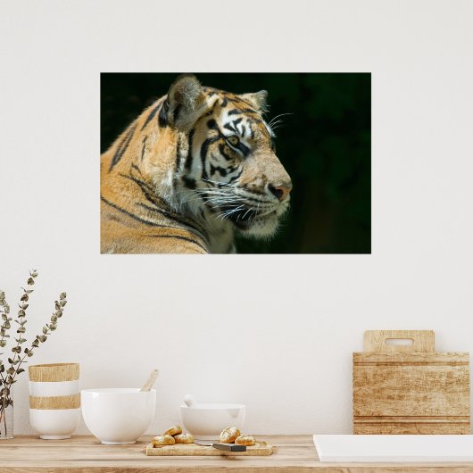 Poster Sumatran Tiger (Cuisine)