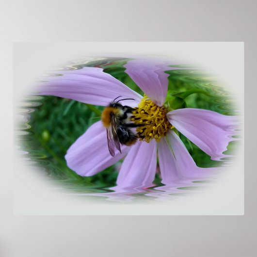 Poster Summer heat (Devant)