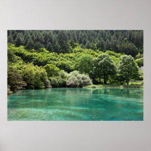 Poster Summer in Jiuzhaigou Valley