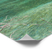 Poster Summer in Jiuzhaigou Valley (Coin)