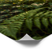 Poster Summer in the Fourfold Forest (Coin)