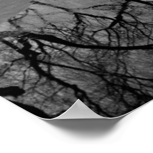 Poster Summer Palace B&W (Coin)