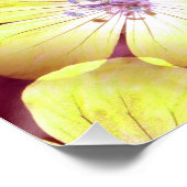 Poster Summery Yellow.... (Coin)