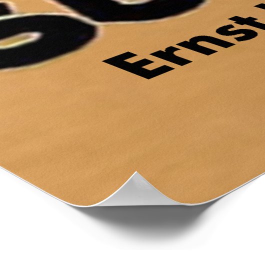 Poster SUMURUN~Ernst Lubitsch ~ Pola Negri ~ Allemagne 19 (Coin)