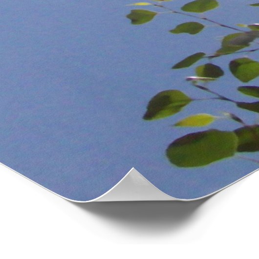 Poster Sun Beam and Clouds (Coin)