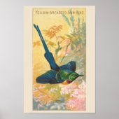 Poster Sun Bird, Set 6 Bird Gallery Wall, 4 sur 6 (Devant)