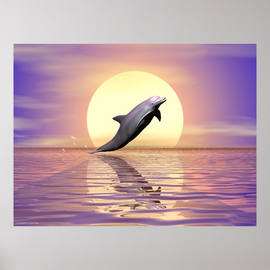 Poster Sun Dolphin (Devant)