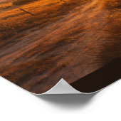 Poster Sun flare over empty prairie (Coin)