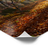 Poster Sun Rays Mystic Misty Forest, Photo (Coin)