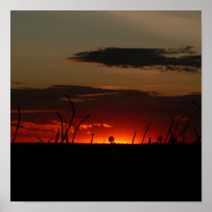 Poster Sun rouge