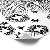 Poster Sun Stars Antique Nuit Ciel Médiéval Zodiac (Coin)