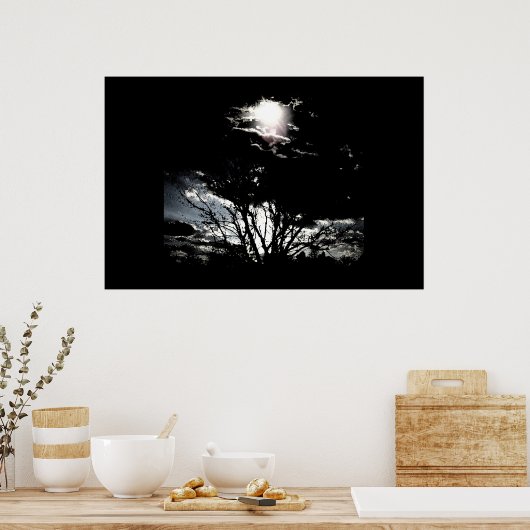 Poster Sun thru Trees B&W (Cuisine)