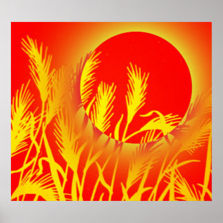 Poster Sun Wheat
