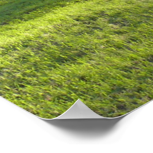 Poster Sunbeam (Coin)