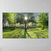 Poster Sunbeam (Devant)