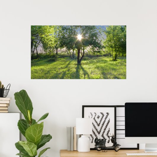 Poster Sunbeam (Bureau à domicile)