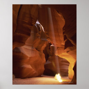 Poster Sunbeam hitting tumbleweed on canyon floor