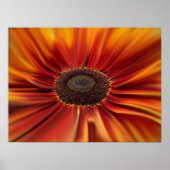 Poster Sunburst (Devant)