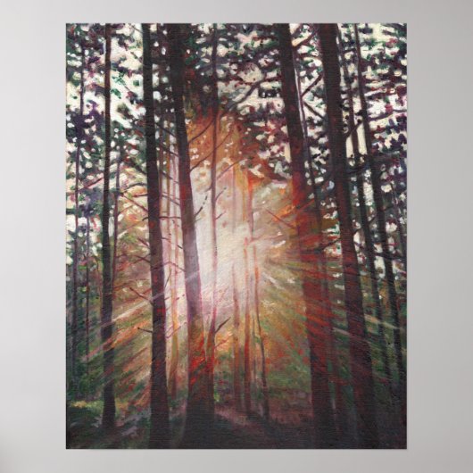 Poster Sunburst 2010 (Devant)