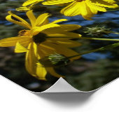 Poster sunfleernbumblebee (Coin)