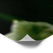 Poster Sunflower (Coin)