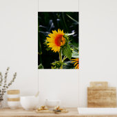 Poster Sunflower (Cuisine)