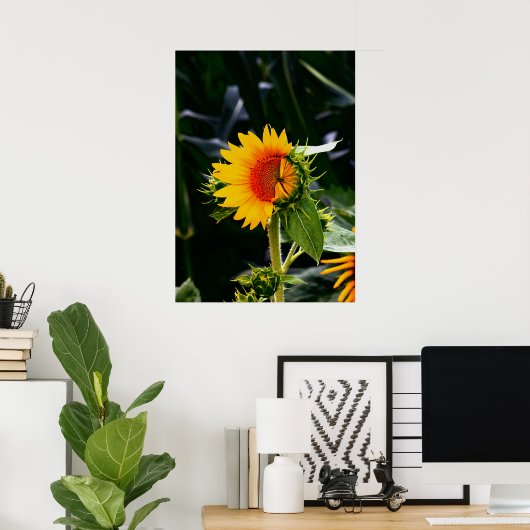 Poster Sunflower (Bureau à domicile)